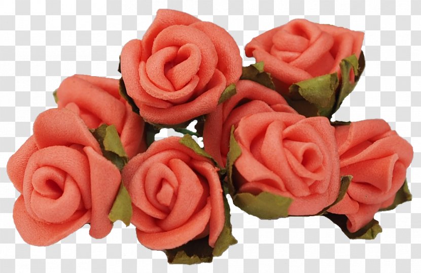 Garden Roses Cut Flowers Petal - Peach Red Transparent PNG