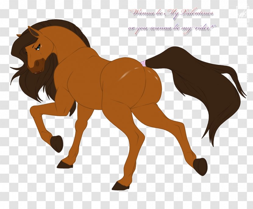 Pony Mustang Stallion Mane Colt - Foal Transparent PNG