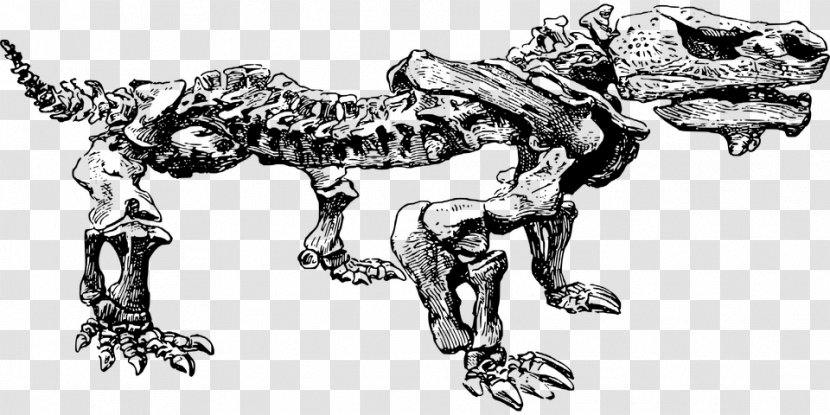 Tyrannosaurus Paleontology Fossil Jurassic Life Dinosaur - Drawing Transparent PNG