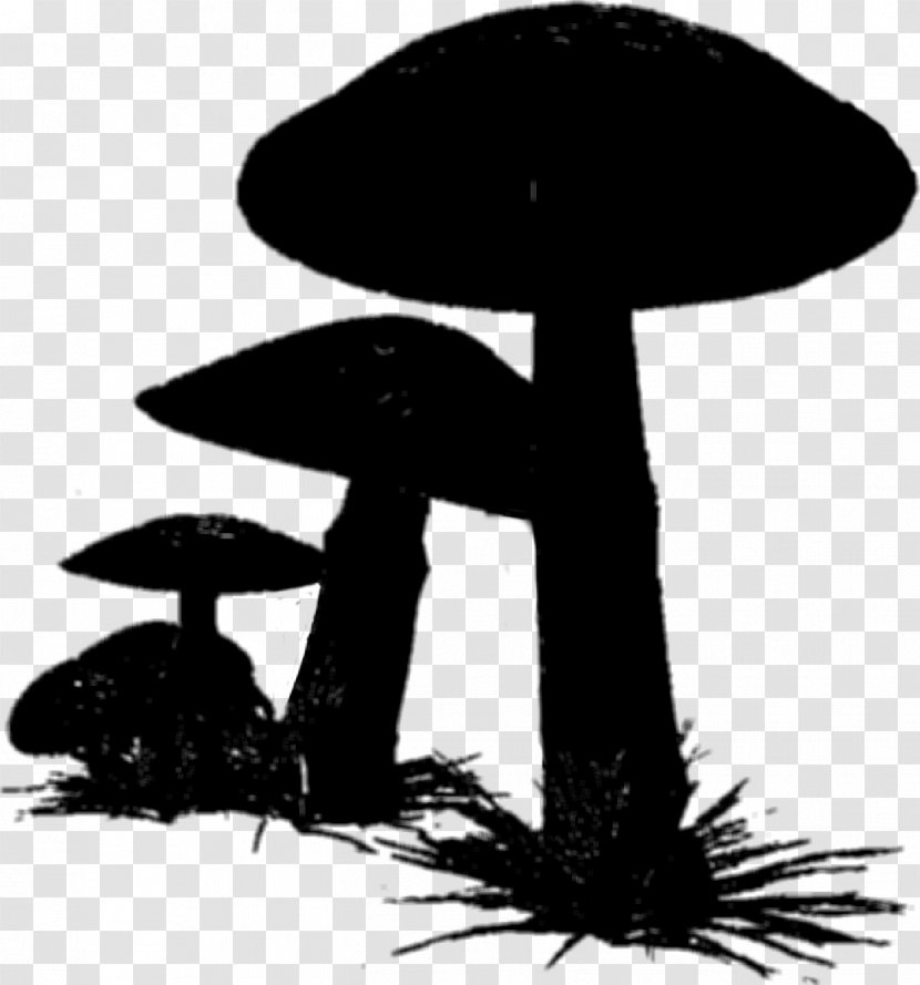 Tree Silhouette - Mushroom - Agaricomycetes Plant Transparent PNG