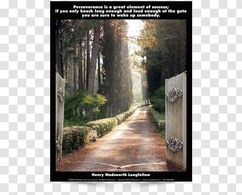 Cassidy Funeral Home Cemetery Health Pelgrimsgebed - Psychotherapist - Posters Element Transparent PNG