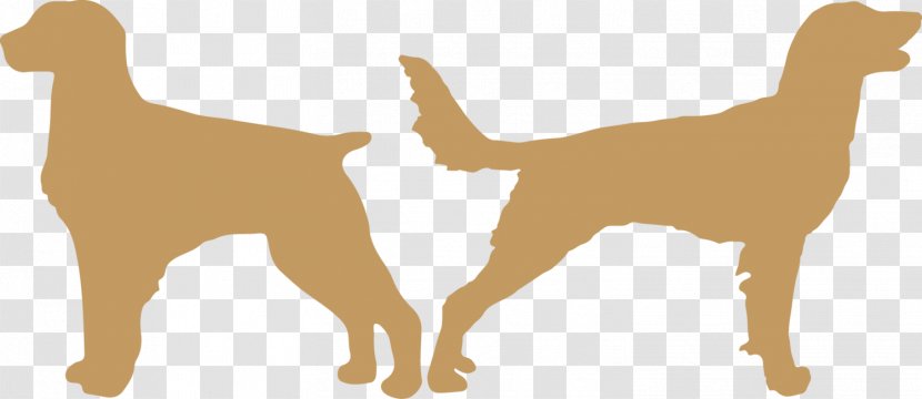 Dog Breed Puppy Goat Camel - Like Mammal Transparent PNG