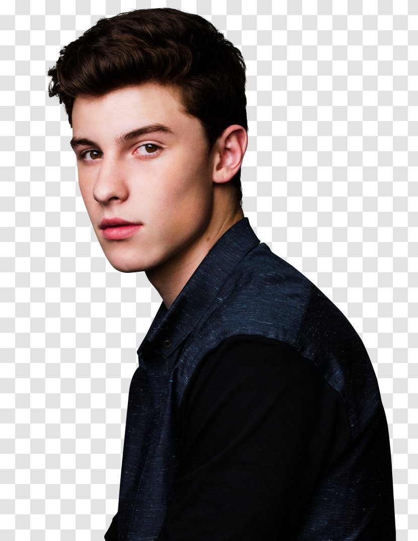Shawn Mendes Chasing Cameron Song I Know What You Did Last Summer Musician - Heart - Hayley Williams Transparent PNG