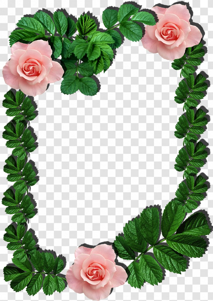 Picture Frames Clip Art - Plant - Flower Transparent PNG