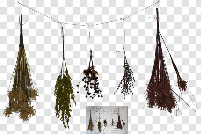 Herb DeviantArt Food Drying Digital Art - Tagged - Herbs Transparent PNG