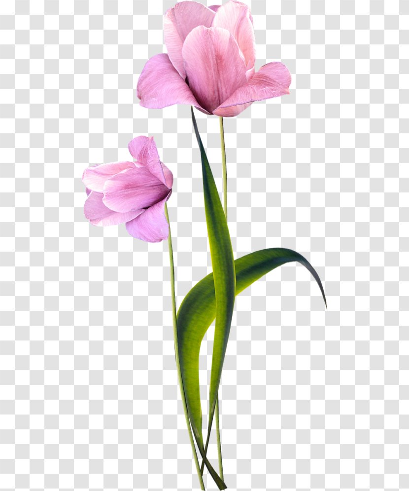 Artificial Flower Tulip Floral Design Bouquet - Cut Flowers Transparent PNG