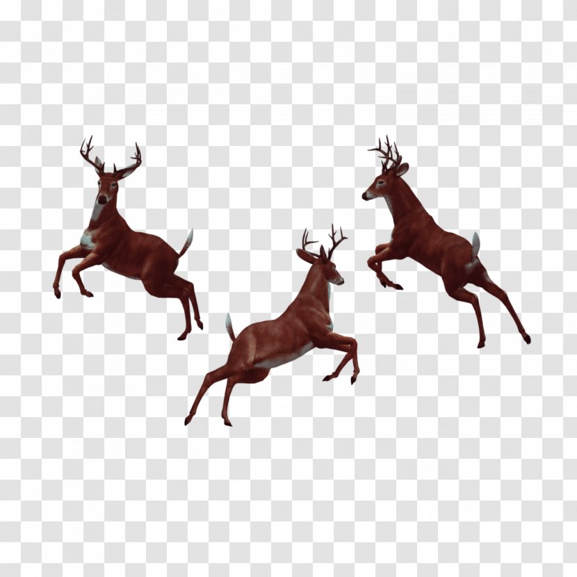 Vector Graphics Image Photography - Elk - Pixel Animal Deer Transparent PNG