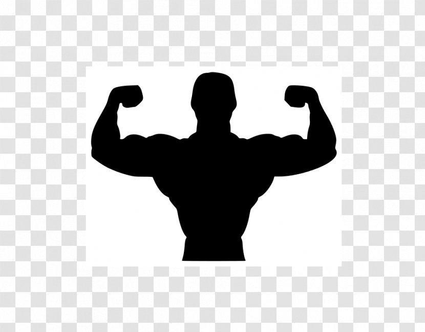 Bodybuilding Physical Exercise Fitness Centre Clip Art - Excersice Transparent PNG