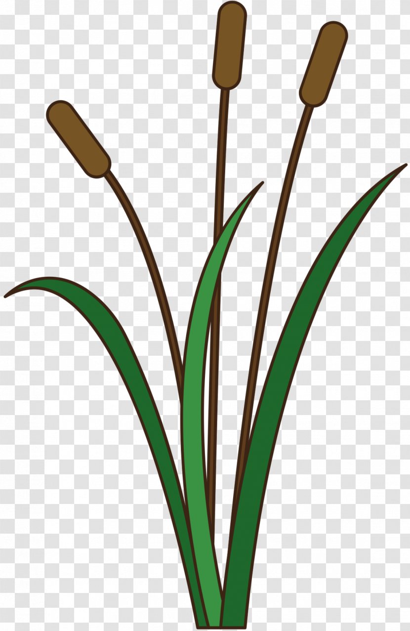 Clip Art Grasses Plant Stem Leaf Line - Grass Transparent PNG
