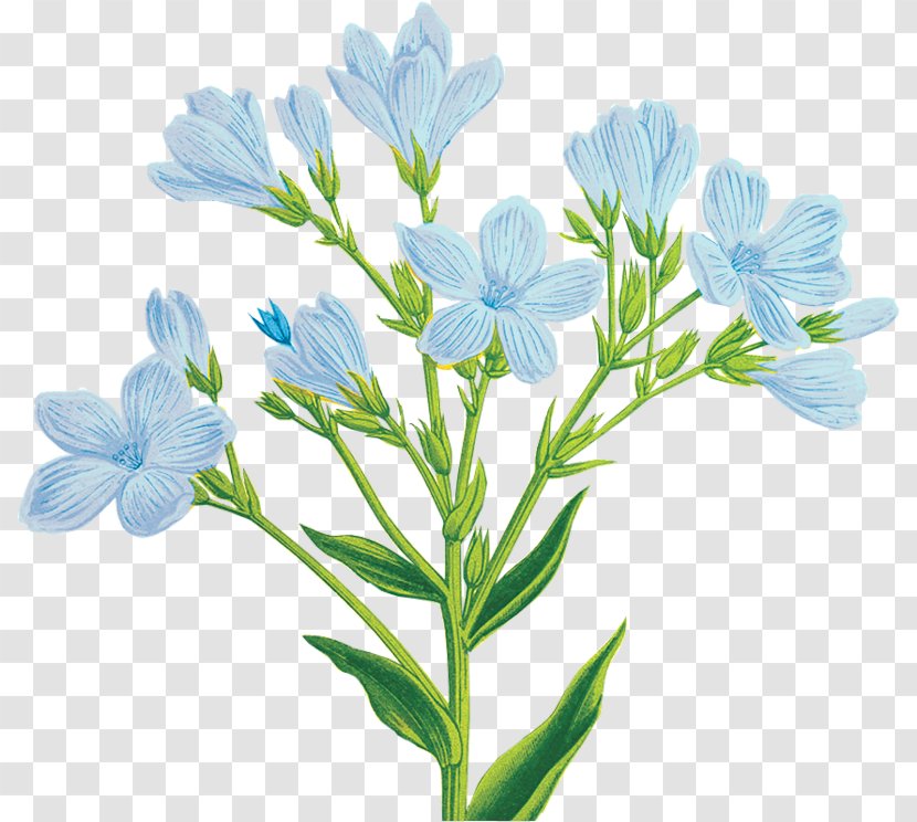 Blue Cut Flowers Clip Art - Petal - Flower Transparent PNG