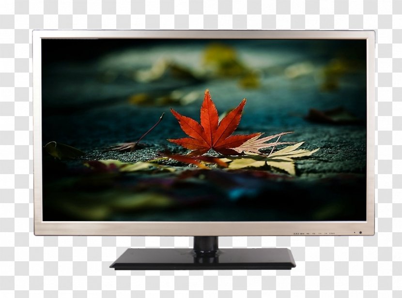 LCD Television Liquid-crystal Display Set Computer Monitor LED-backlit - Media - Screen TV Transparent PNG