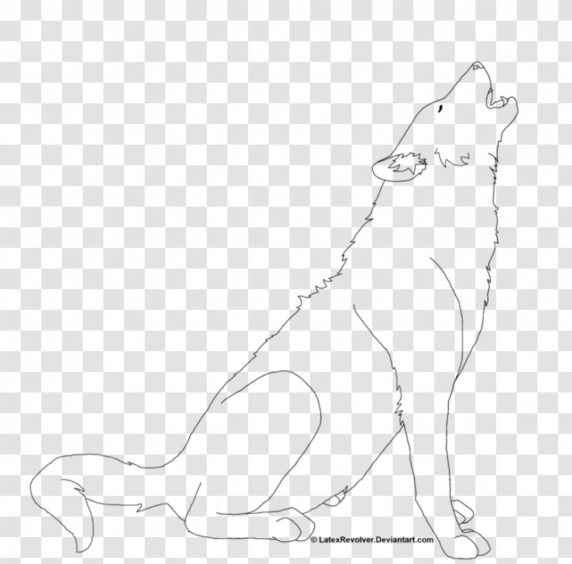 Cat Drawing Mammal Dog Whiskers - Tree - Lineart Transparent PNG