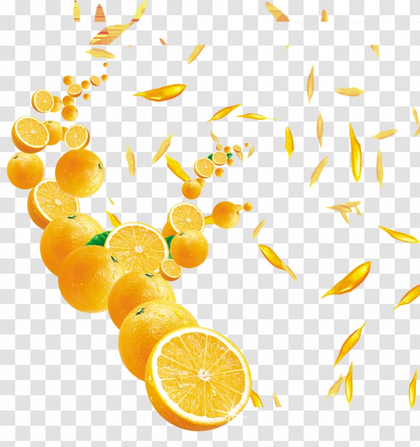 Orange Juice - Food Transparent PNG