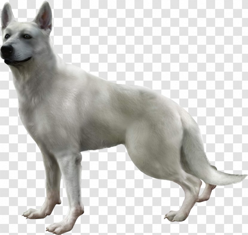 Haunting Ground Resident Evil 4 PlayStation 2 Survivor - Canadian Eskimo Dog - Labrador Transparent PNG