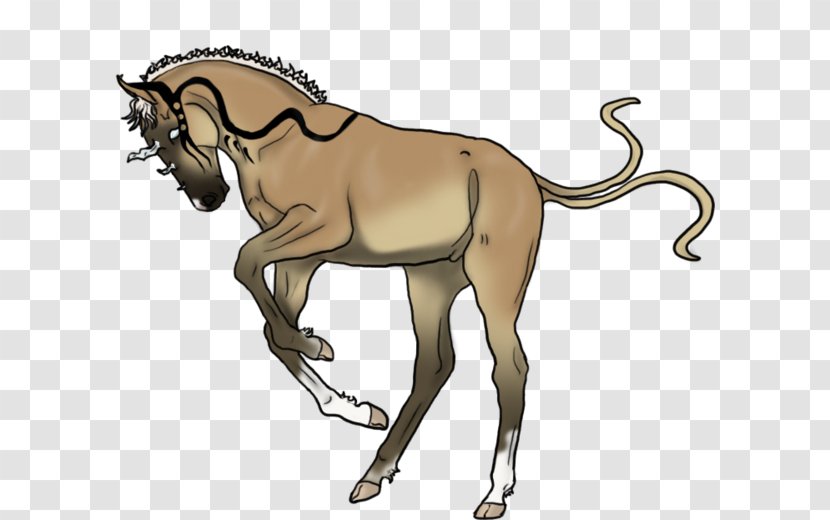 Mane Mustang Foal Stallion Colt - Fauna Transparent PNG