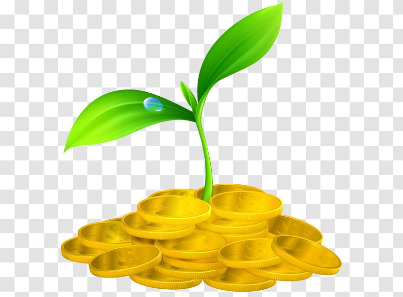 Gold Coin Finance - Royaltyfree - Money Tree Transparent PNG