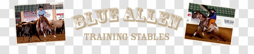 Brand Hair Coloring Varnish Font - Stables Transparent PNG