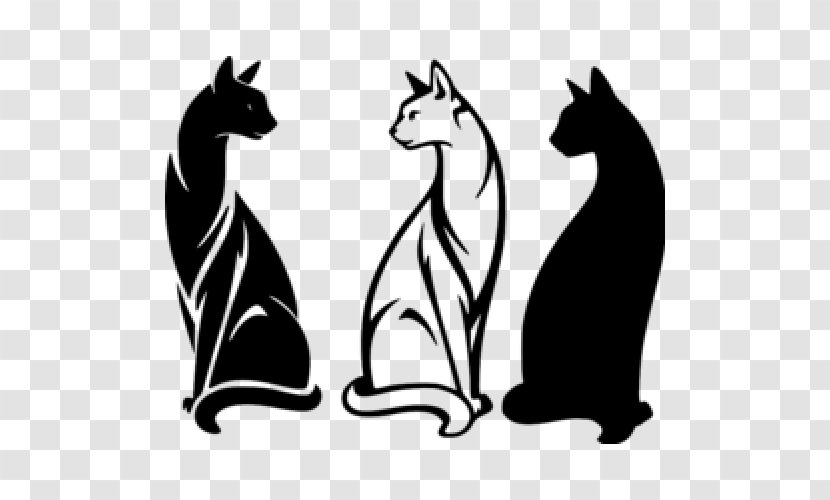 Kitten Siamese Cat Tournée Du Chat Noir - Black Transparent PNG