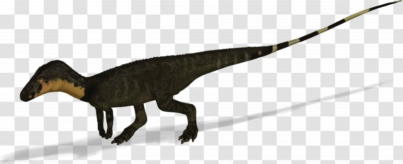 Velociraptor Poposaurus Tyrannosaurus Triassic Dinosaur - Late Transparent PNG