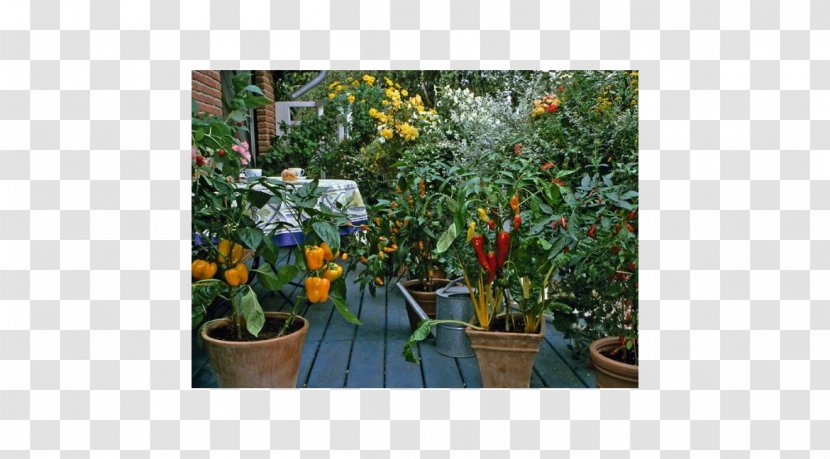 Kitchen Garden Vegetable Gardening Patio Transparent PNG