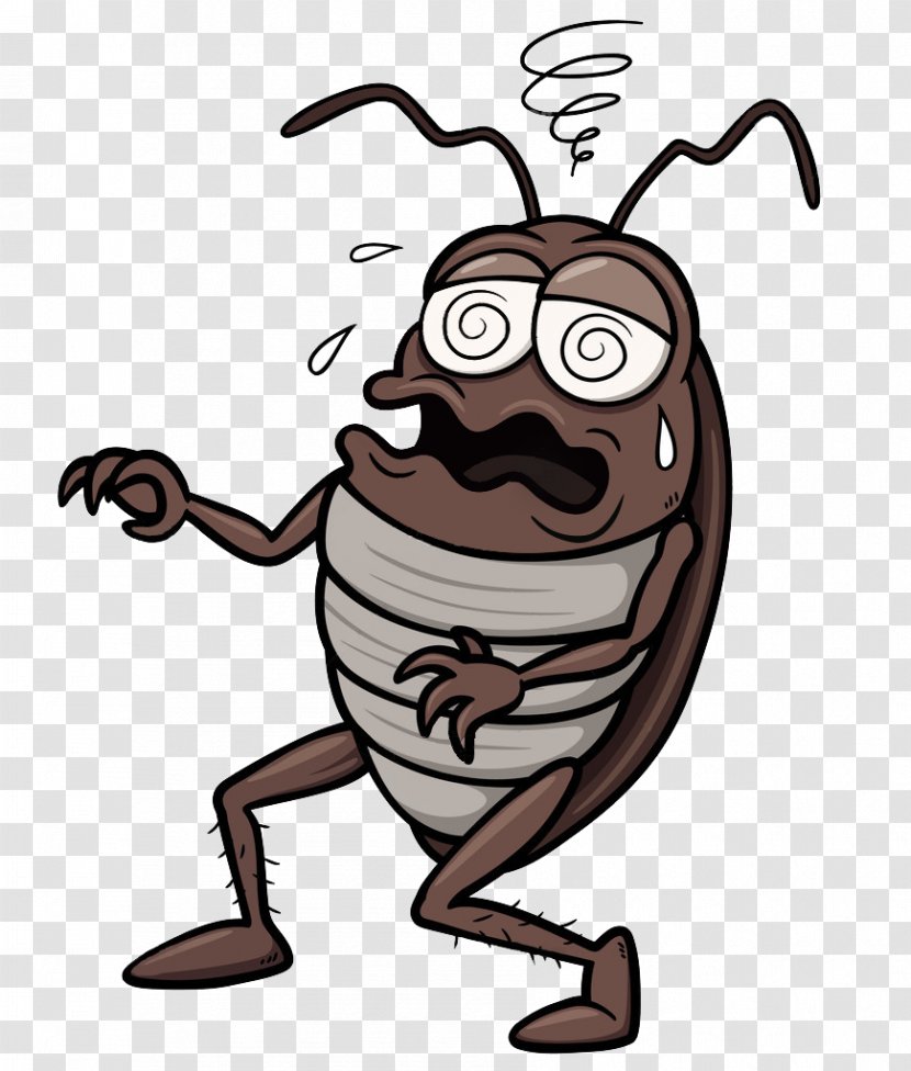 Cockroach Cartoon Royalty-free Clip Art - Vision Care - About To Faint Cockroaches Transparent PNG