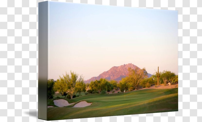 Golf Course Clubs Land Lot Energy - Arizona Desert Transparent PNG
