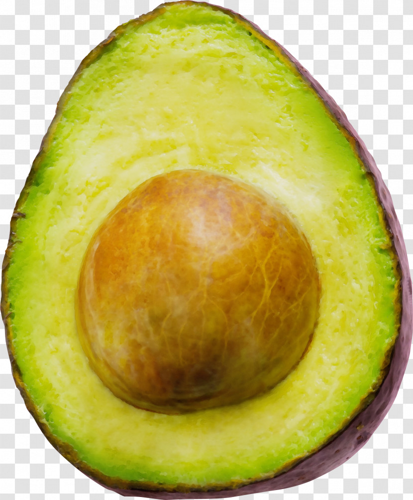 Avocado Transparent PNG