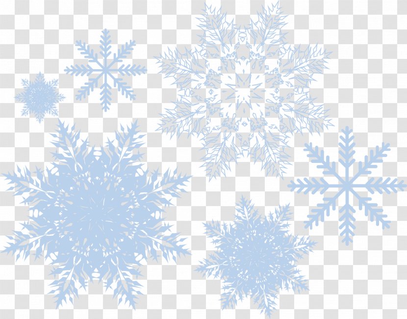 Snowflake Pattern - Blue - Light Ice Vector Material Transparent PNG