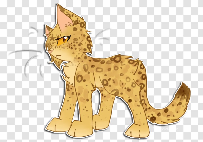 Cat Whiskers Cheetah Lion Leopard - Deviantart Transparent PNG