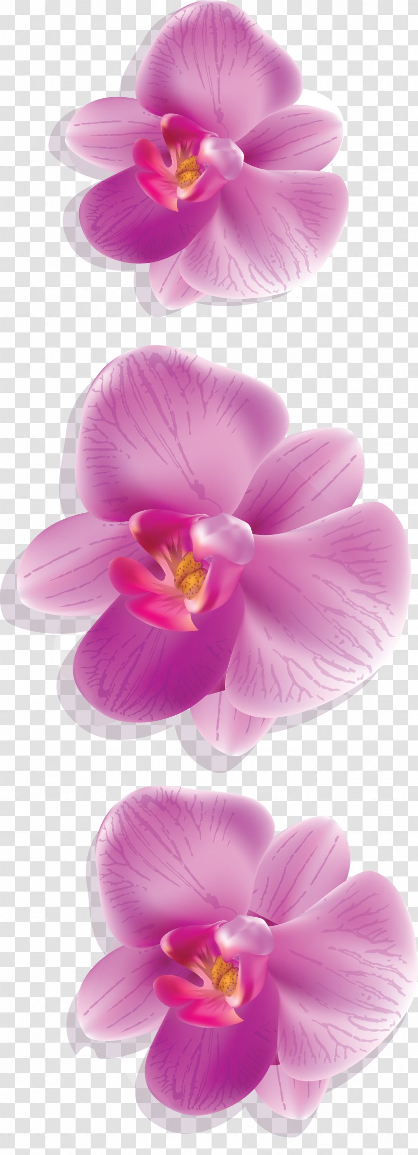 Moth Orchids Decoupage Clip Art - Lilac - Petal Transparent PNG