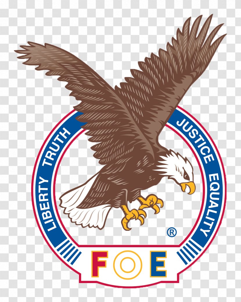 Fraternal Order Of Eagles Stillwater Detroit Lakes The Eagle Transparent PNG