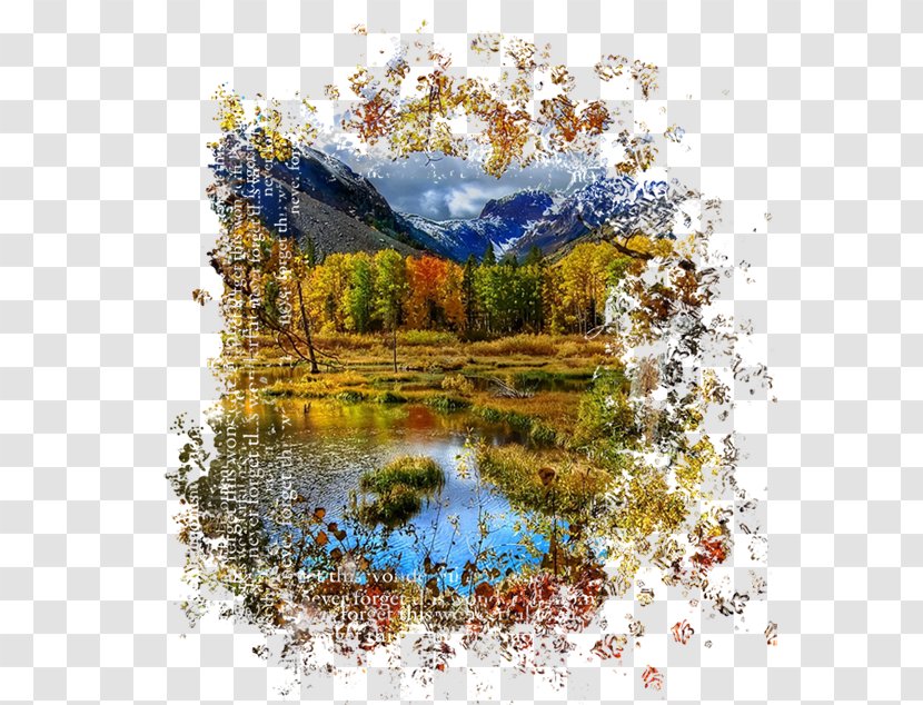 Landscape Desktop Wallpaper Autumn 4K Resolution High-definition Television - Pond - Paintings Transparent PNG