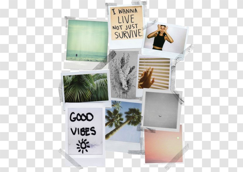 Instant Camera Mood Board Collage Instax Transparent PNG
