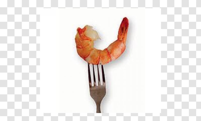 Caridean Shrimp Scampi Cuisine Cooking Food Transparent PNG