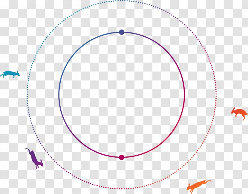 Circle Point Angle - Neck - The Round Moon Rabbit Transparent PNG