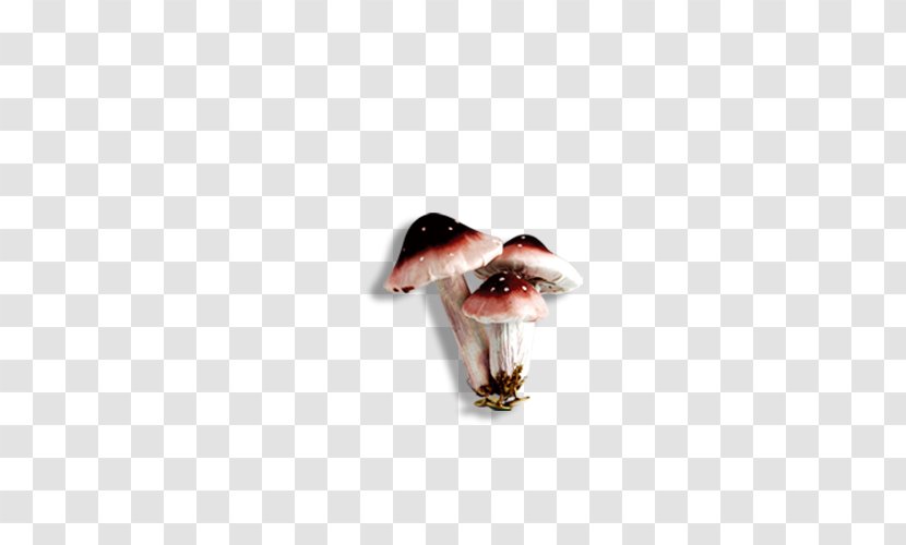 Mouth - Jaw - Mushroom Transparent PNG