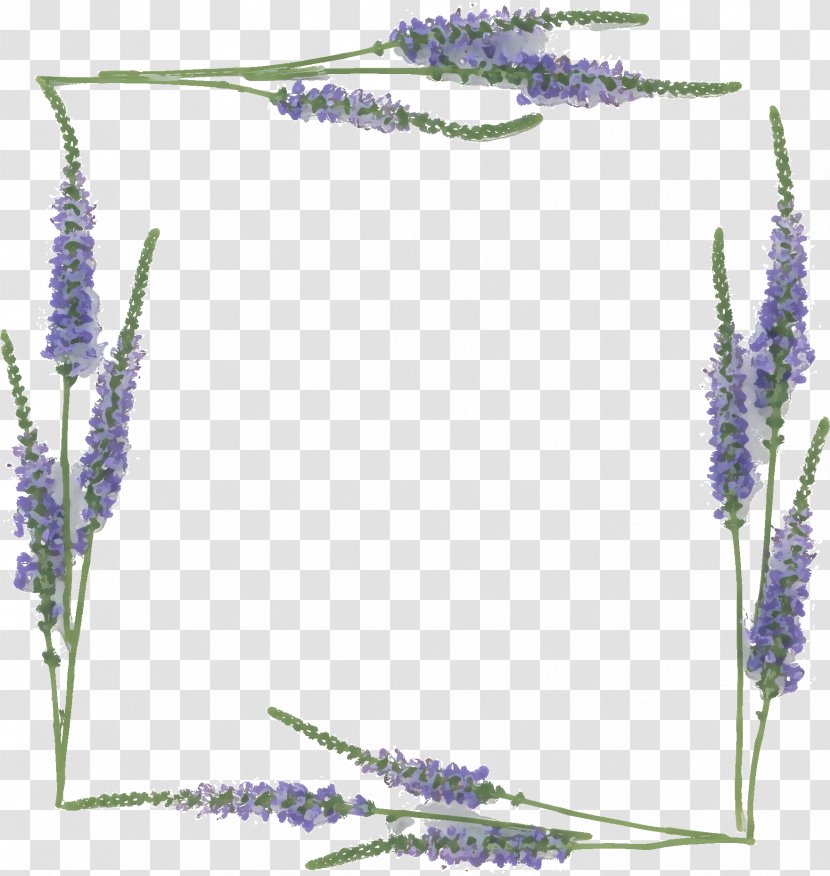 Lavender Digital Image Flower - Plant Stem - Grass Transparent PNG