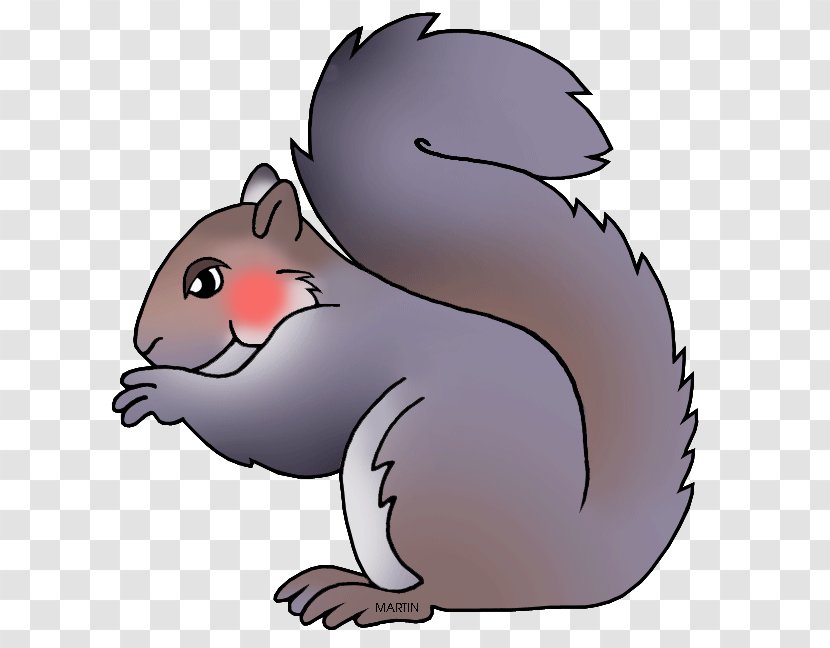 Eastern Gray Squirrel Clip Art Transparent PNG