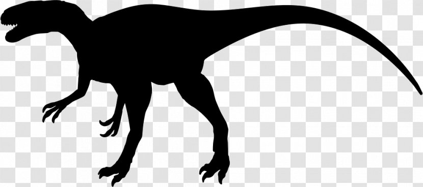 Megalosaurus Velociraptor Tyrannosaurus Allosaurus Worm - Black And White - Dinosaur Transparent PNG