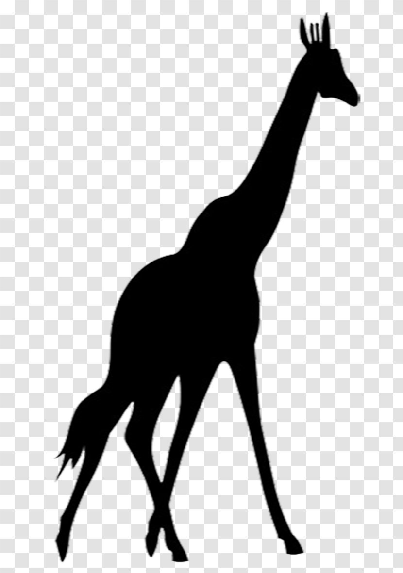 Giraffe Animal Silhouettes Clip Art Vector Graphics - Tail Transparent PNG