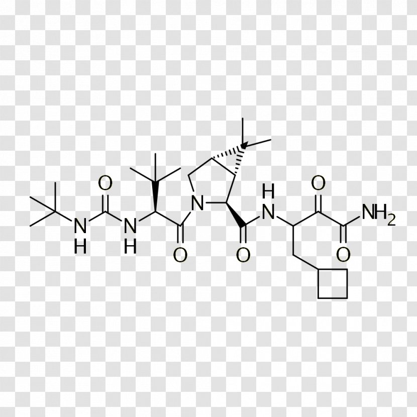 Enkephalin Phenylalanine Peptide Leucine - Silhouette - Flower Transparent PNG