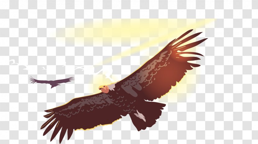 Bird Flight Owl Condor - Art - Vector Domineering Eagle Transparent PNG