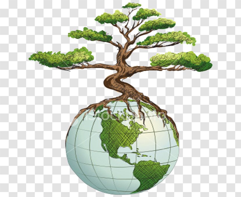 Tree Business Organization Drawing - World - Holding Green Earth Transparent PNG