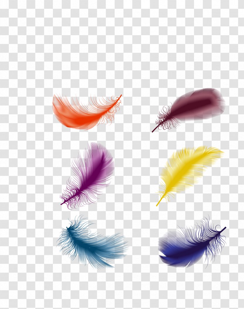 The Floating Feather - Drawing - Vector Color Feathers Decoration Transparent PNG