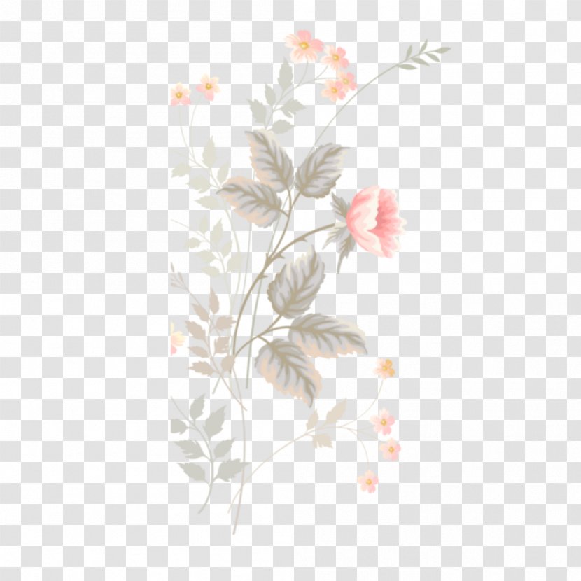 Rose Flower Drawing - Branch - Plant Stem Twig Transparent PNG