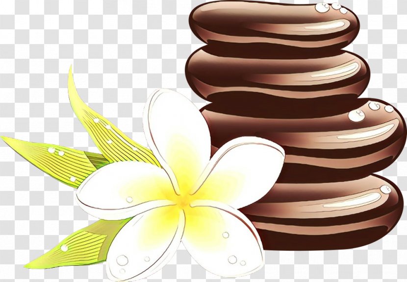 Chocolate - Frangipani Transparent PNG