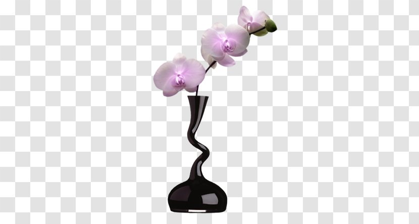 Vase Flower Transparent PNG