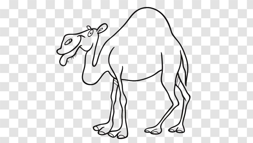 Dromedary Bactrian Camel Drawing Coloring Book - Flower - Heart Transparent PNG