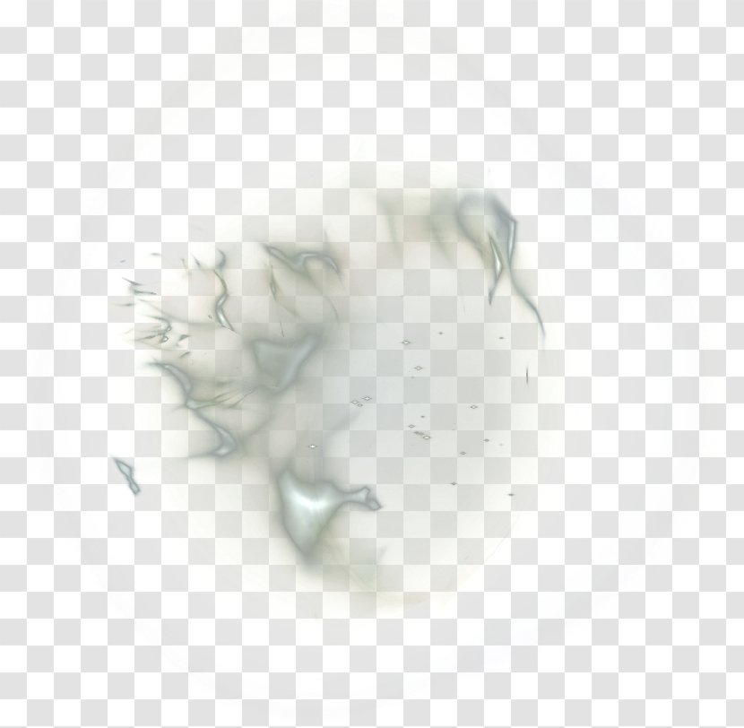 Close-up Organism - Closeup Transparent PNG