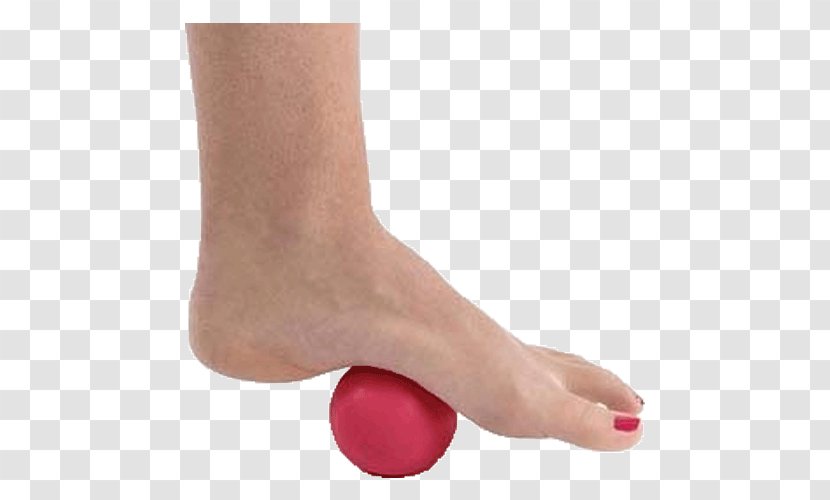 Pro-Roller Massage Essentials Exercise Balls Toe Hand - Frame - Sore Foot Transparent PNG